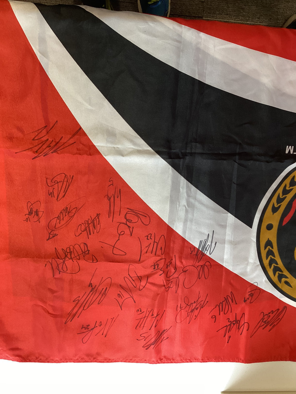 2004-05 Ottawa Senators Team Signed Flag