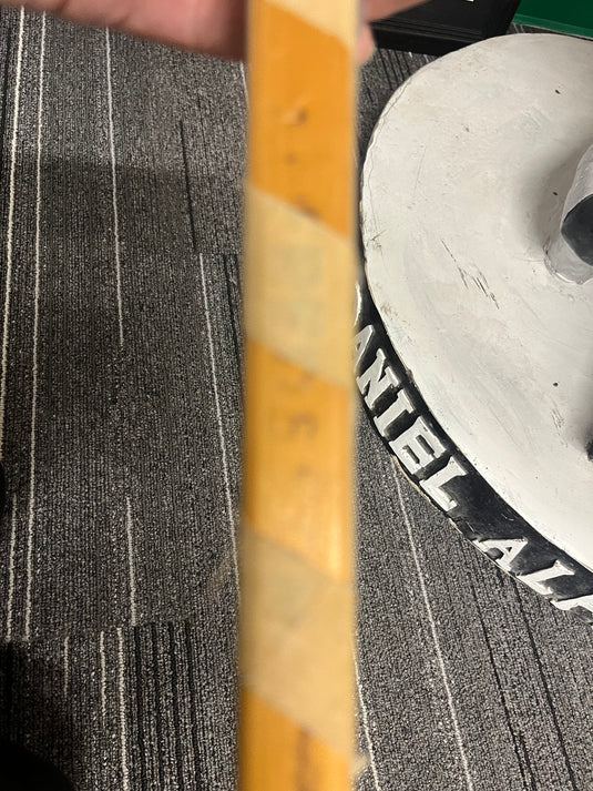 Daniel Alfredsson Game Used Auto Stick