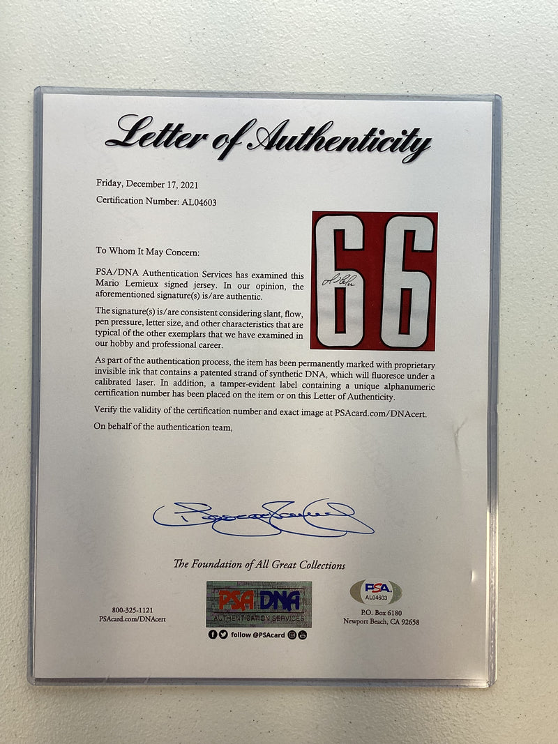 Load image into Gallery viewer, Lemieux Team Canada Jersey auto PSA COA with frame

